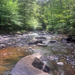 Meet your Posher, Laurie